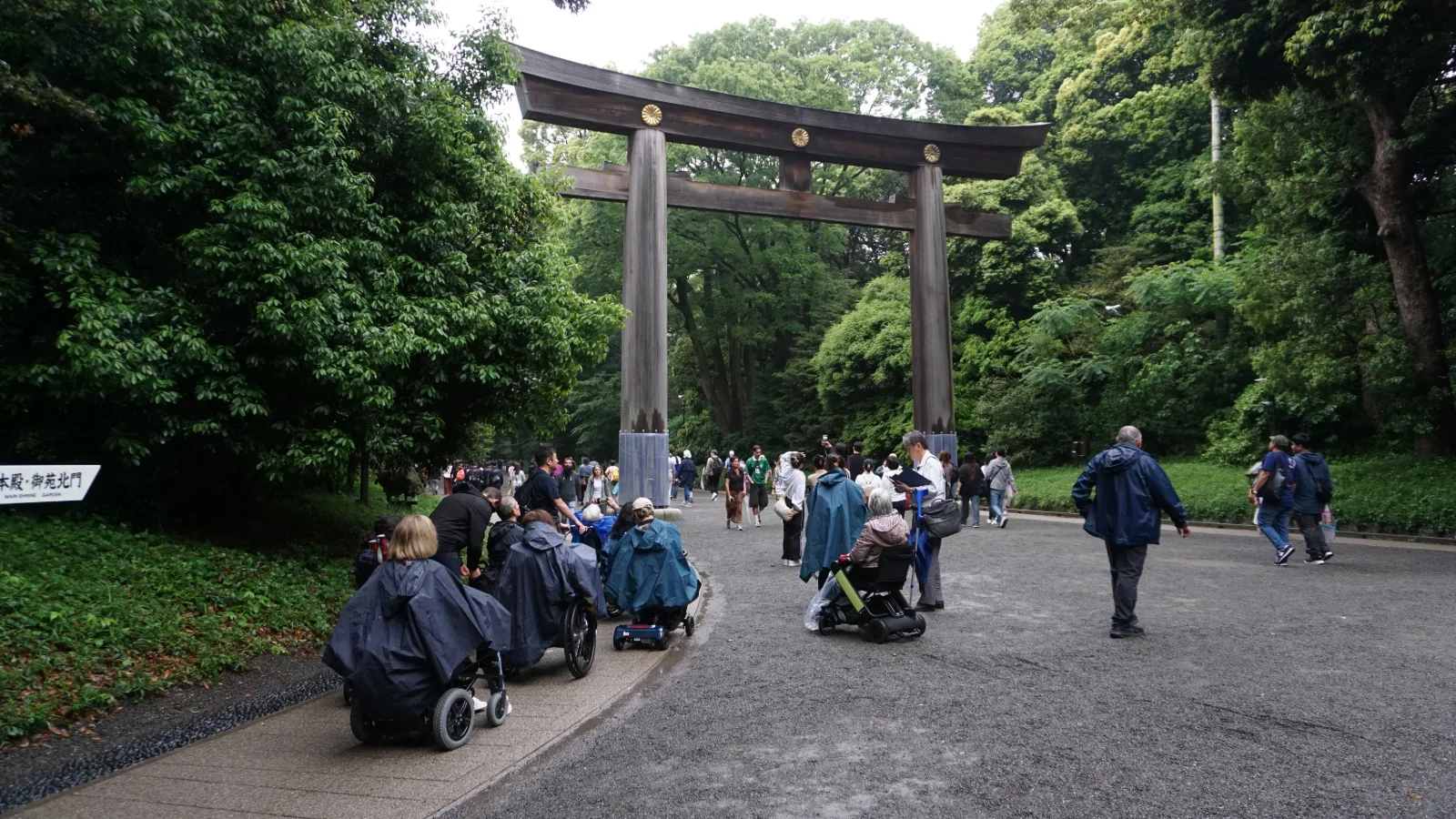Santuario shinto en Japón con un gran torii de madera oscura. Visitantes, algunos en sillas de ruedas y con cochecitos, pasean por un camino pavimentado rodeado de árboles verdes frondosos. El ambiente es accesible y acogedor para familias y personas con movilidad reducida.